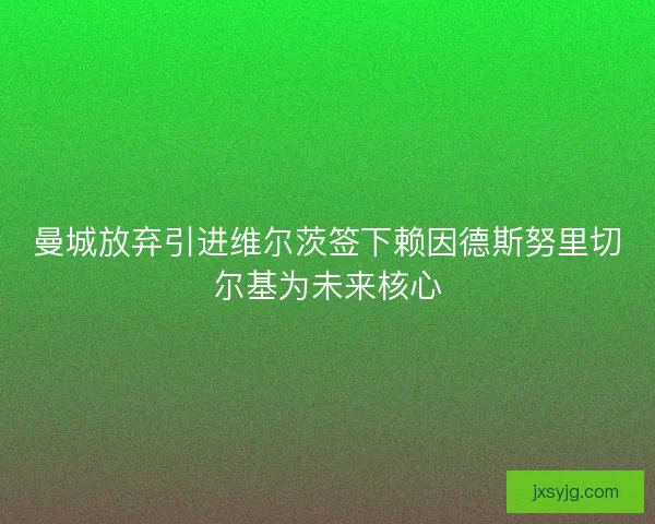 曼城放弃引进维尔茨签下赖因德斯努里切尔基为未来核心 曼城放弃引进维尔茨签下赖因德斯努里切尔基为未来核心